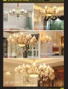 Catalog Đèn Trang Trí Ngân Tin 795 den led trang tri trong nha ngoai troi ngan tin 000029
