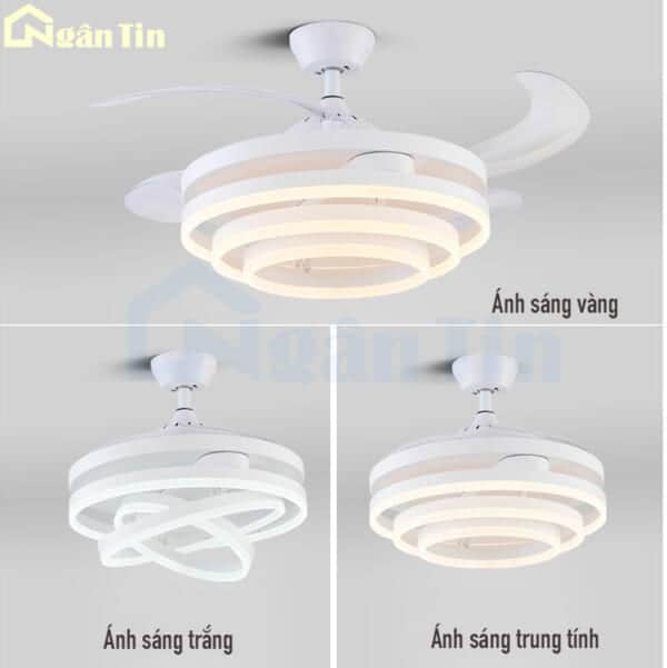 quat tran den giau canh cup xoe trang tri phong khach phong ngu vifa53 ngan tin 16