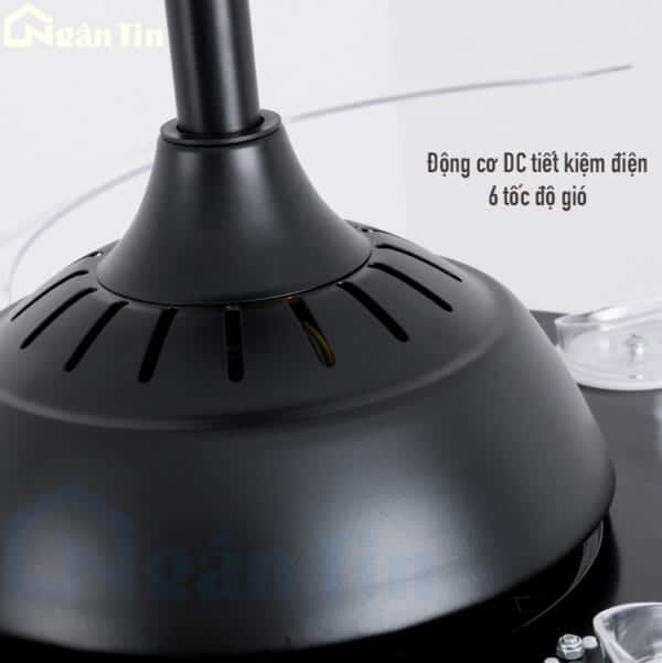 quat tran den giau canh cup xoe trang tri phong khach phong ngu vifa53 ngan tin 9